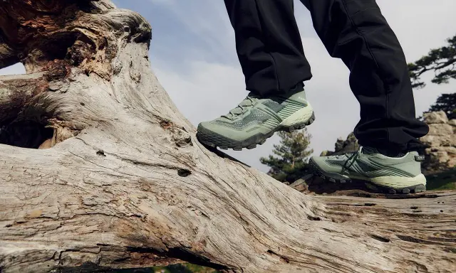 Zielone buty trekkingowe na pniu drzewa. Idealne na górskie wędrówki, zapewniające stabilność i komfort.