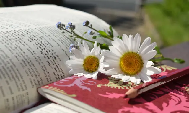 Otwarta księga, stokrotki i niezapominajki. Dobre uczynki religia inspirują do piękna i dobra.