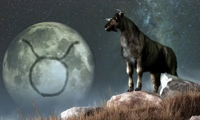 Byk z gwiazdami i księżycem z symbolem Byka. Ascendent w byku, symbol siły i stabilności.