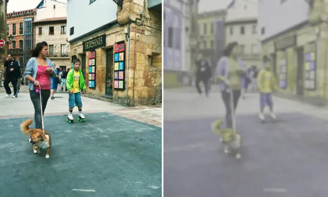 Spacerem po mieście, gdzie pies widzi głównie odcienie żółci i niebieskiego, a dziewczyna prowadzi go na smyczy.