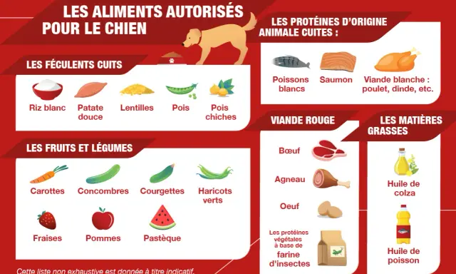 Guide pour une cuisine pour chien : 50 recettes santé. Aliments autorisés : féculents, fruits, légumes, viandes et poissons cuits, huiles.