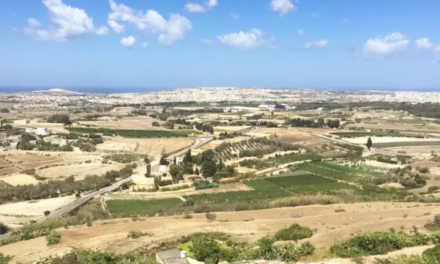 Malta, krajobraz jak z "Gry o tron", z polami uprawnymi, gajami oliwnymi i miastem w oddali.