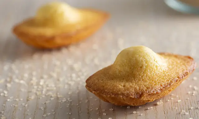 Deux madeleines dorées, parsemées de sucre, prêtes à être dégustées. Une invitation à la recette madeleine parfaite.