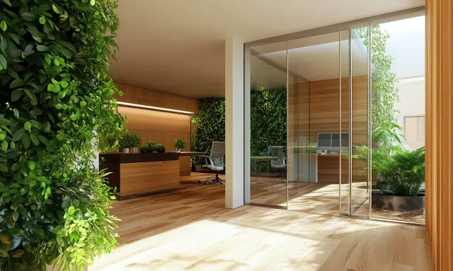 Oficina moderna con abundante vegetación interior. Una gran planta verde domina el primer plano. Al fondo, una **ventana sin marco detalle** permite ver un patio interior con más plantas.