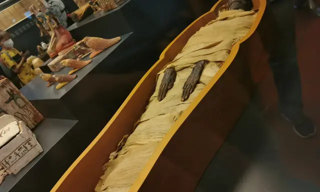Mumifikacja w starożytnym Egipcie: zmumifikowane ciało w sarkofagu, obok artefakty.