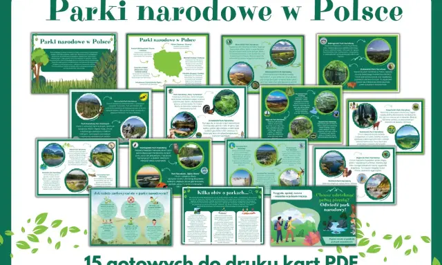Wizualizacja przedstawia 15 kart PDF o parkach narodowych w Polsce, zachęcając do odkrywania piękna natury.