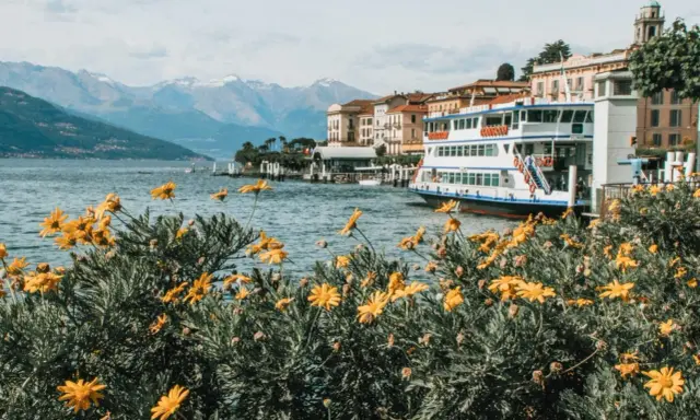 Fiori gialli in primo piano, lago blu, montagne innevate e un battello attraccato. Una perfetta gita fuori porta Milano.