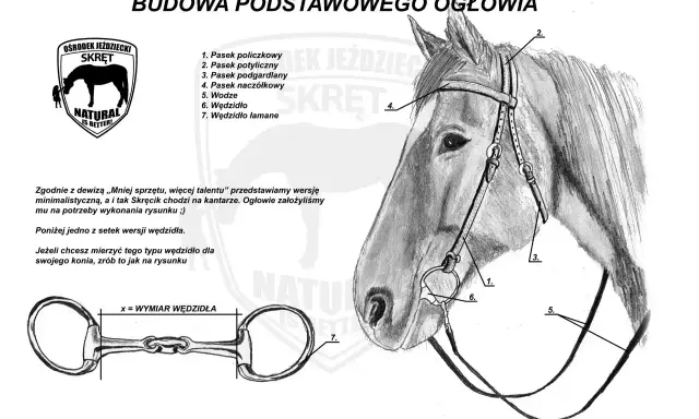 Ilustracja przedstawia budowę ogłowia, z zaznaczonymi częściami siodła, w tym wędzidłem.