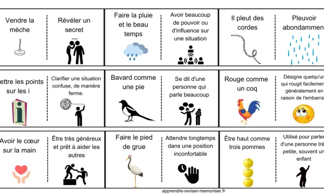 Illustrations de vieilles expressions françaises : vendre la mèche, révéler un secret, faire la pluie et le beau temps, avoir beaucoup de pouvoir, il pleut des cordes, pleuvoir abondamment, mettre les points sur les i, bavard comme une pie, rouge comme...