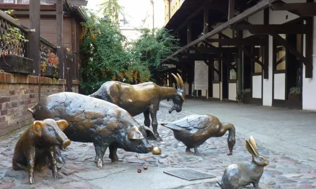 Wrocław przewodnik: rzeźby zwierząt na bruku – świnia, prosię, koza, gęś i królik. Urocza atrakcja turystyczna.