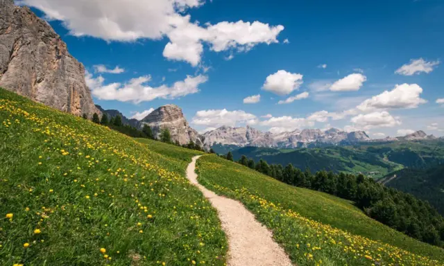 Sentiero sabbioso serpeggia su un prato fiorito di giallo, con imponenti montagne sullo sfondo. Perfetto per esplorare i sentieri escursionistici.