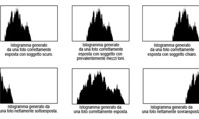 Sei grafici mostrano un istogramma foto per diverse esposizioni: soggetto scuro, mezzi toni, soggetto chiaro, sottoesposta, corretta e sovraesposta.