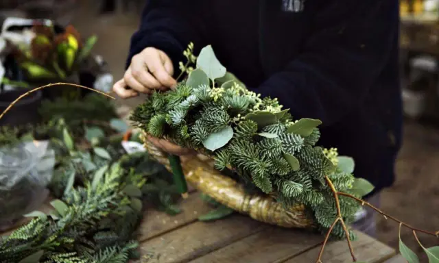 Händer som pysslar med att binda julkrans av granris och gröna blad.