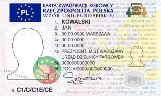 Świadectwo kwalifikacji zawodowej: Twój klucz do lepszej pracy?