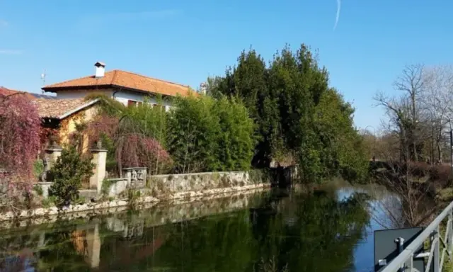 Splendide passeggiate vicino Milano, con un canale tranquillo, alberi fioriti e un sentiero per godersi la natura.