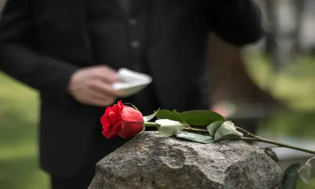 Czerwona róża na kamieniu, symbol żałoby i trudnego działu spadku. W tle postać w czerni.
