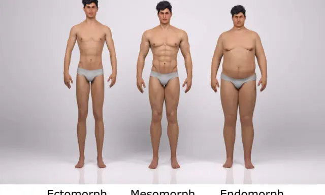 Trzy typy budowy sylwetki męskiej: ektomorfik (szczupły), mezomorfik (umięśniony) i endomorfik (zaokrąglony).