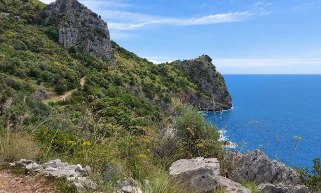 Sentiero panoramico con rocce e vegetazione lussureggiante che si affaccia sul mare blu intenso. Un'ottima idea per cosa vedere a Sapri.