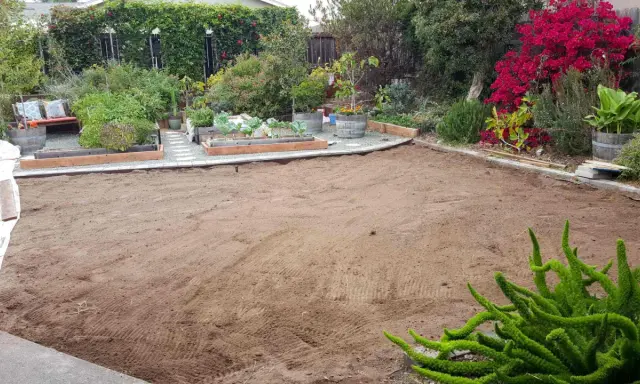 A cleared, sandy patch of yard, ready for new planting. This area, once grass, is now prepped for a garden, showing how to kill grass for a fresh start.