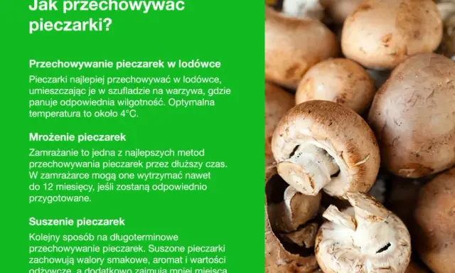 Jak przechowywać pieczarki? Wskazówki dotyczące przechowywania w lodówce, mrożenia i suszenia.