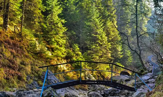 Mostek w wąwozie Homole, idealny na jesienny spacer. Słońce przebija się przez drzewa, oświetlając ścieżkę.