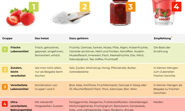 Die Grafik erklärt, was ist fast food: von frischen Lebensmitteln bis zu ultra-verarbeiteten Produkten, die man meiden sollte.