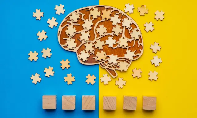 Forma di cervello in legno con pezzi di puzzle sparsi, che simboleggiano il metodo Feuerstein e lo sviluppo cognitivo.