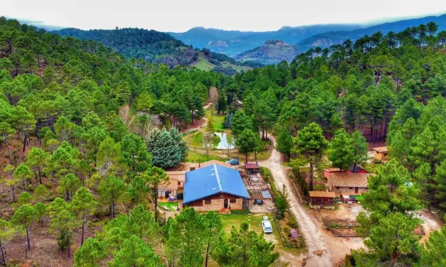 Un refugio en el bosque, el lagunazo riopar, rodeado de pinos y con un estanque sereno.