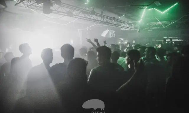 Folla in delirio in un locale, luci verdi e fumo creano un'atmosfera da dj techno anni '90.