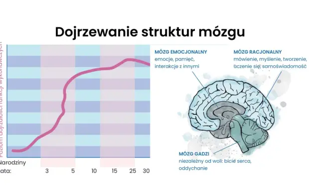 Rozwój mózgu dziecka: Kluczowe czynniki i jak je wspierać?