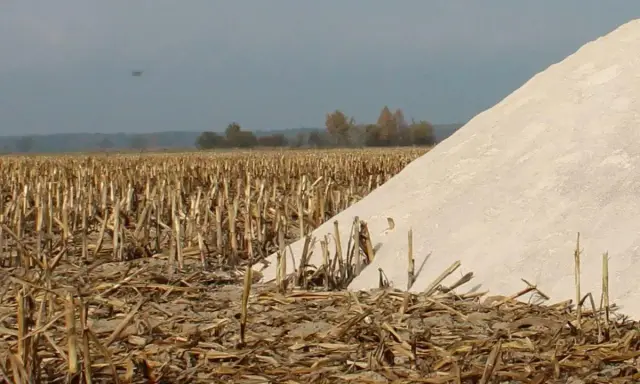 Pole po żniwach kukurydzy, z dużym kopcem wapna. Idealny czas, kiedy sypać wapno na działkę, by przygotować glebę.