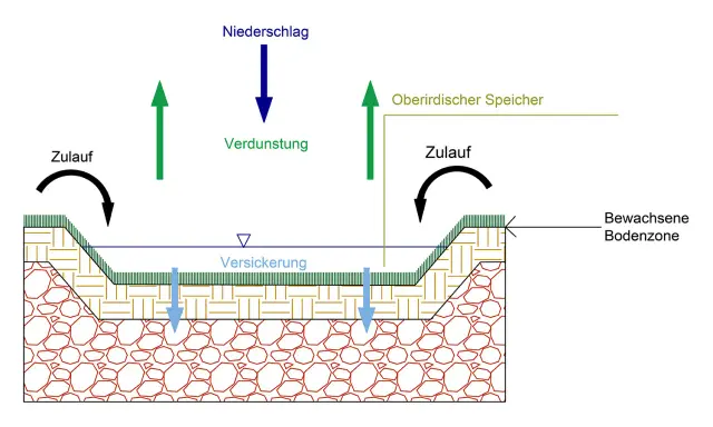 Schema einer Sickermulde: Regenwasser versickert, verdunstet und fließt zu. Oberirdischer Speicher und bewachsene Bodenzone sind dargestellt.