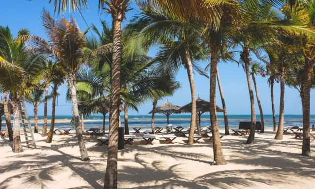 Rajska plaża w Kenii w grudniu. Palmy, leżaki i ocean tworzą idealną pogodę na wakacje.
