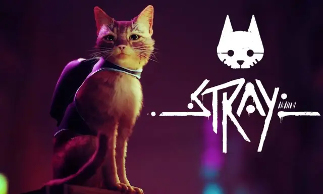 Rudy kot w plecaku, bohater gry Stray, zastanawia się, ile godzin minęło od jego zaginięcia.