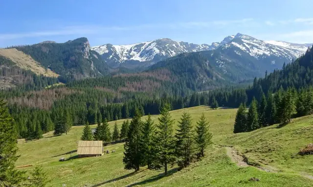 Piękne góry w Zakopanem, zielone hale, lasy świerkowe i ośnieżone szczyty Tatr.