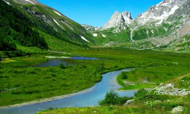 Val Ferret, un paradiso per passeggiate facili. Un fiume serpeggia tra prati verdi e montagne innevate sotto un cielo azzurro.