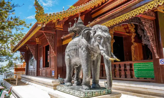 Chiang Mai atrakcje: kamienny słoń przed ozdobną świątynią z bogato zdobionym dachem.