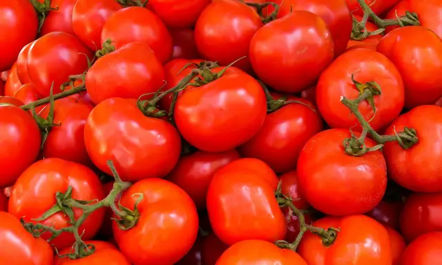 Mnóstwo soczystych, czerwonych pomidorów, idealnych na keto dietę.