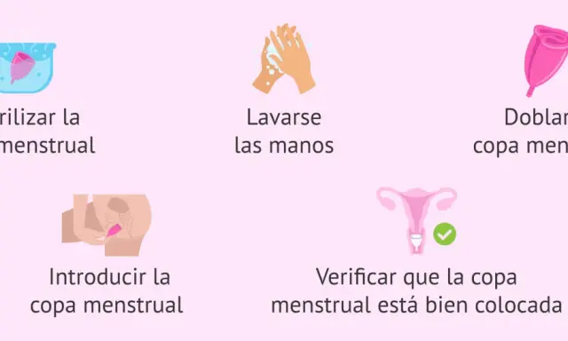 Guía visual: esterilizar, lavarse las manos, doblar, introducir y verificar la copa menstrual. Así es para qué sirve la regla de higiene.