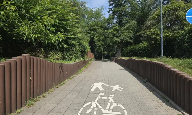 Ścieżka rowerowa w parku Młynówka Królewska, z zielenią po bokach i znakiem rowerzysty na kostce brukowej.