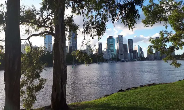 Vista del grande porto australiano con grattacieli sullo sfondo, alberi in primo piano e un fiume tranquillo.