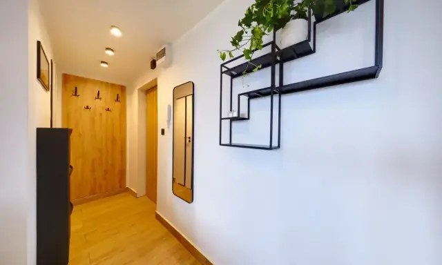 Mały nowoczesny przedpokój z drewnianą ścianą, czarną szafką i designerską półką z rośliną.
