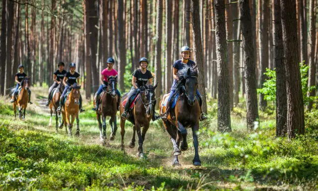 Grupa osób na koniach jedzie przez las.