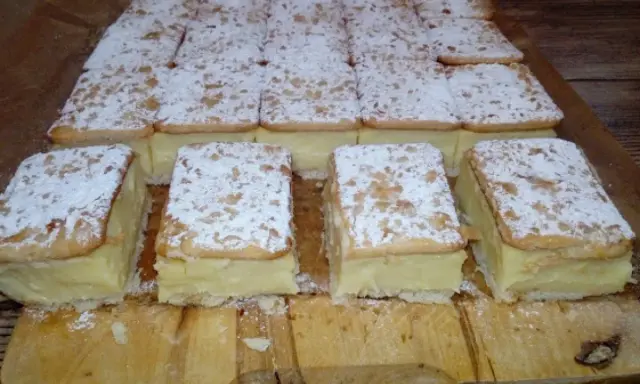 Pyszne napoleonki na krakersach, posypane cukrem pudrem, czekają na spróbowanie.