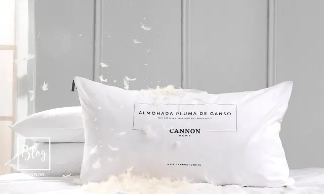 Almohadas de plumas son malas. Plumas flotan por todas partes, cubriendo la almohada Cannon Home.