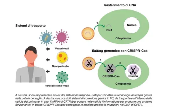 Illustrazione di sistemi di trasporto per terapia genica, inclusi vettori virali e nanoparticelle, per correggere mutazioni genetiche, come quelle nella fibrosi cistica.