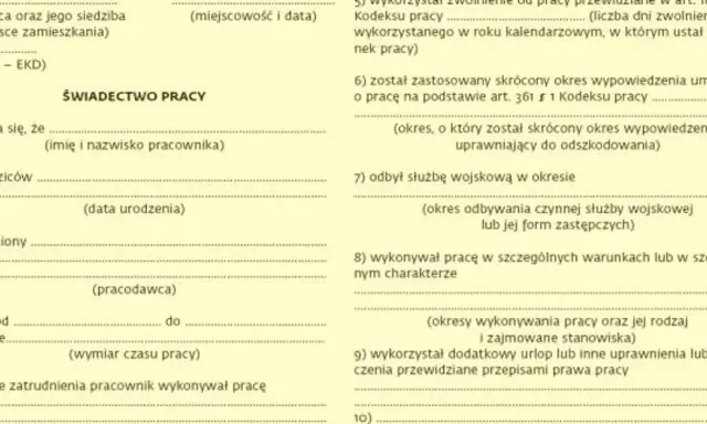 Świadectwo pracy w trakcie zatrudnienia? Kiedy to możliwe?