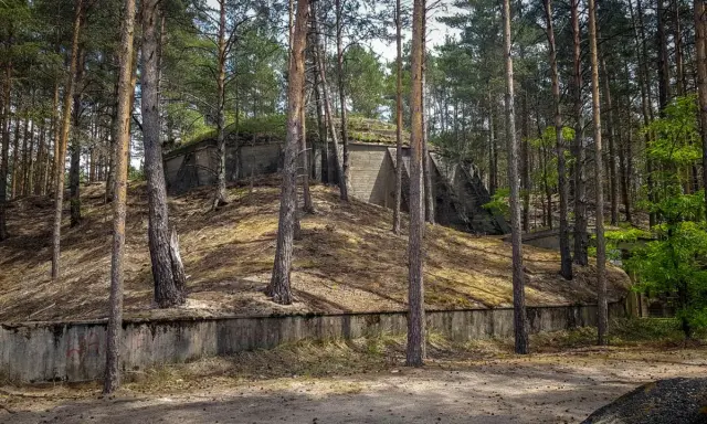 Betonowe bunkry w lesie, pozostałości po dag krzystkowice, porośnięte mchem i otoczone sosnami.