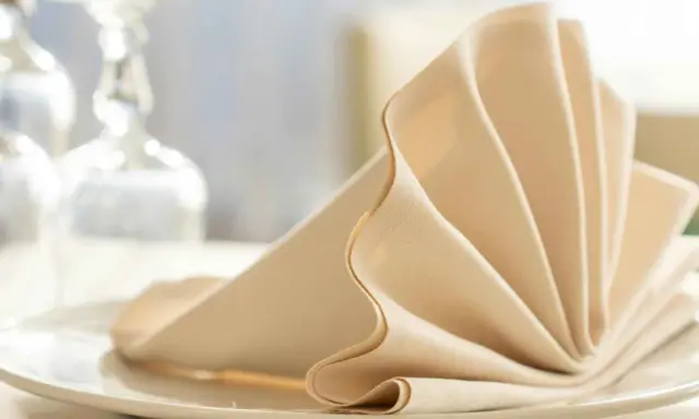 Une serviette en tissu beige pliée en éventail sur une assiette blanche, évoquant un élégant dressage de table à la française.
