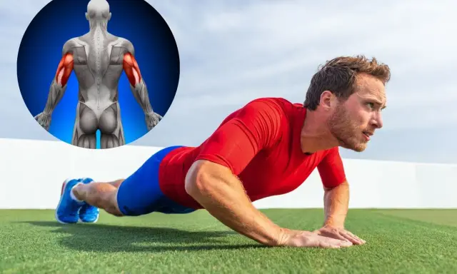 Mann macht Liegestütze, um seinen Trizeps zu trainieren. Ein anatomisches Bild zeigt die beanspruchten Muskeln.